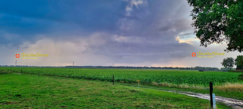 Green Field under a Moody Sky