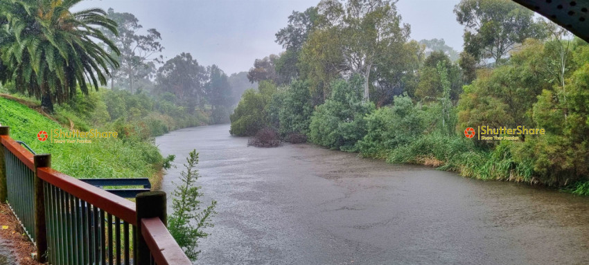 Serene Rainy Day by the Torrens River, Adelaide