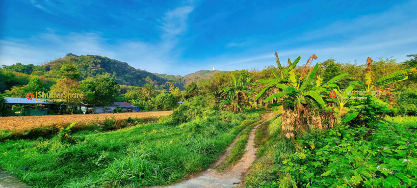 Scenic Farmland View in Chalong, Thailand - January 2023