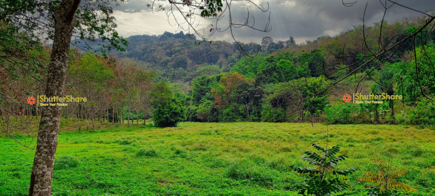 Lush Green Valley in Chalong