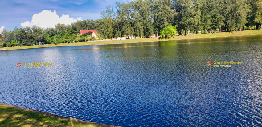 Serene Lake with Lush Surroundings