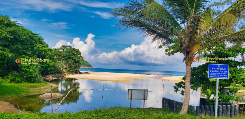 Tropical Beach with Palm Tree and Blue Skies