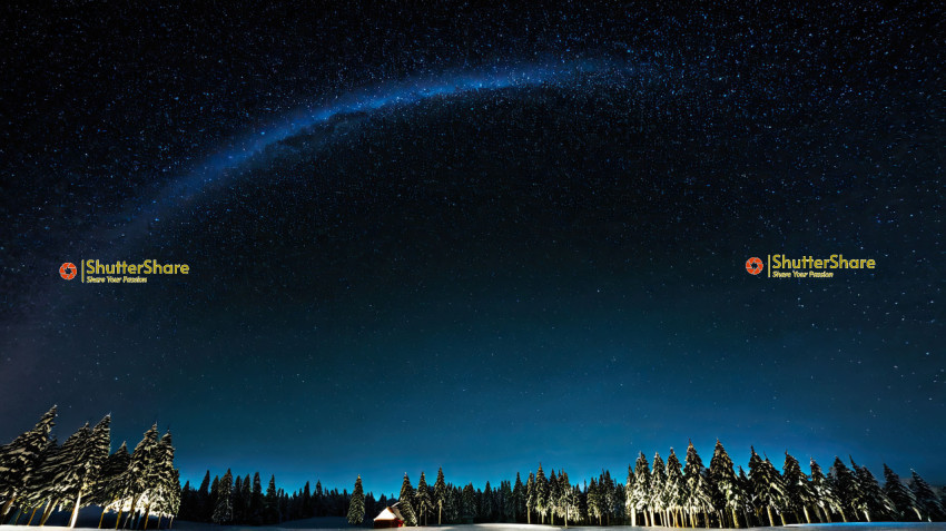 Starry Night over Snowy Forest