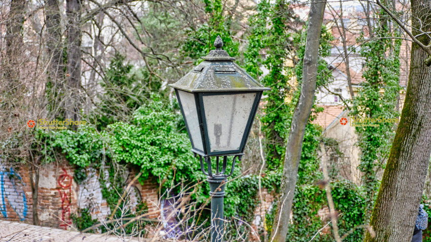 Weathered Lamppost in Urban Greenery