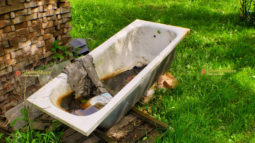 Abandoned Bathtub in Overgrown Garden
