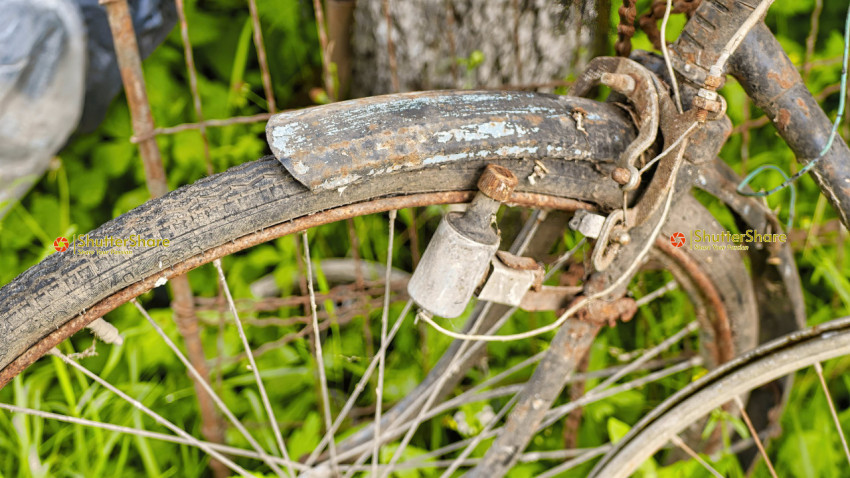Close-Up of Rusty Bicycle Wheel and Frame