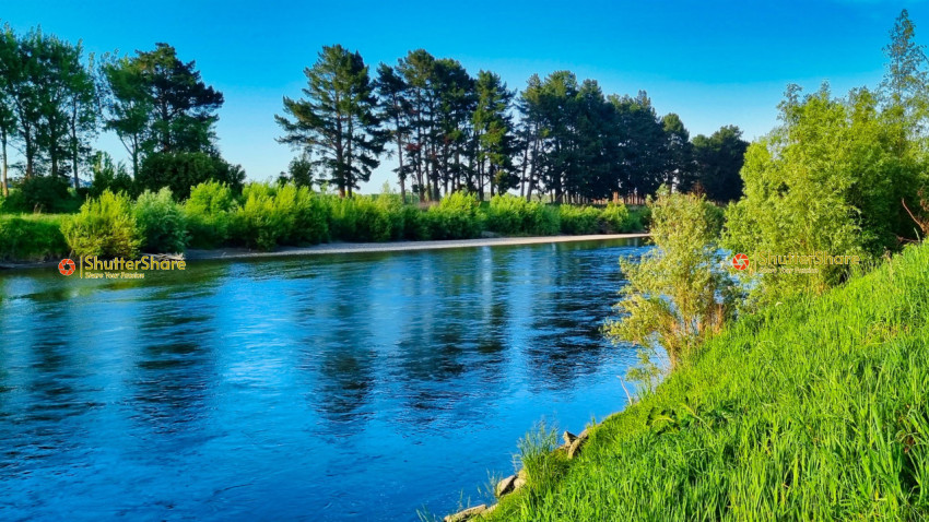 Tranquil Riverside Landscape in New Zealand