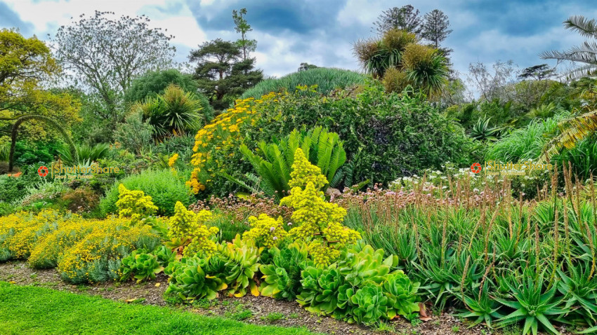 Vibrant Botanical Garden Scene