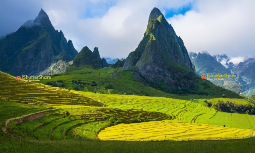 Verdant Terraces and Soaring Peaks