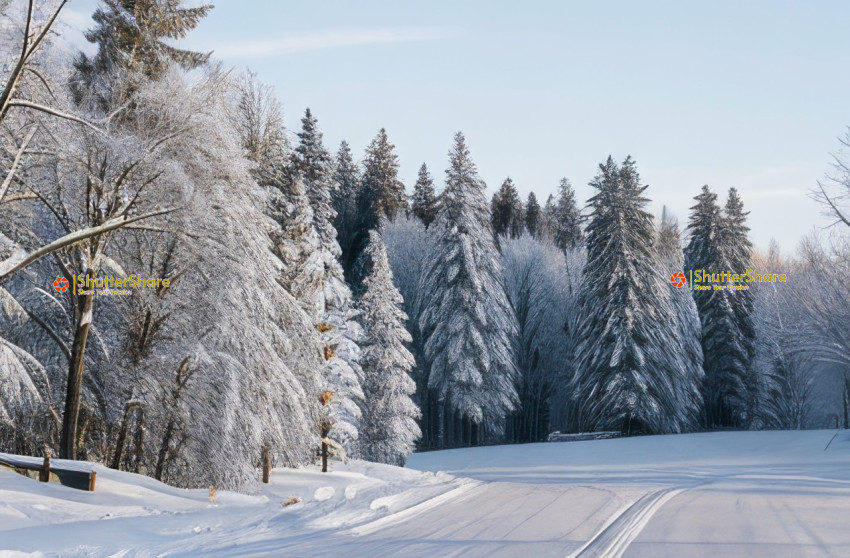 Winter Wonderland Cross-Country Ski Trail