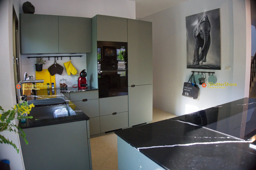 Modern Kitchen with Elephant Artwork