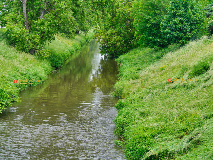 Serene Riverbank