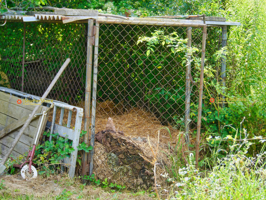 Rusty Cage and Compost Heap in Overgrown Garden