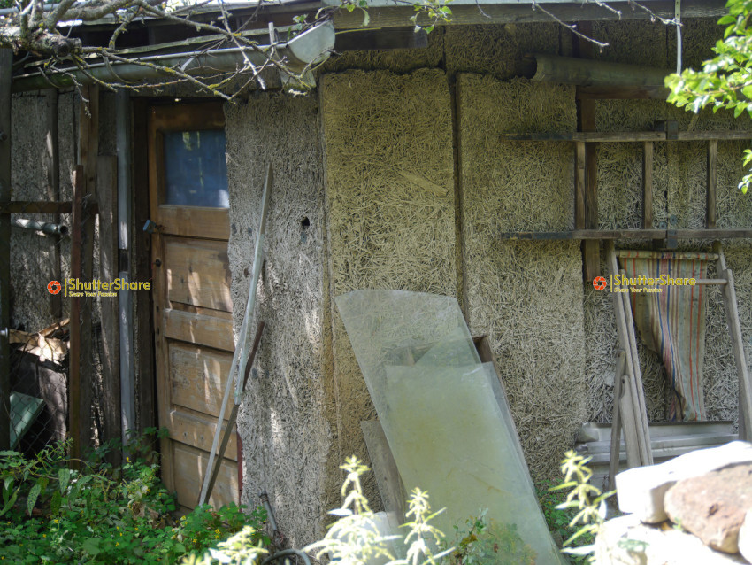 Abandoned Shed with Rusted Gate and Overgrown Vegetation