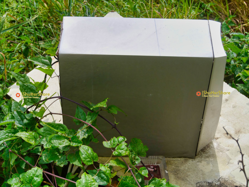 Abandoned Surround Sound System in Overgrown Garden