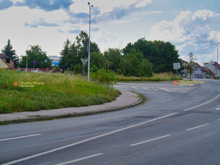 Neglected Road Intersection with Overgrown Vegetation