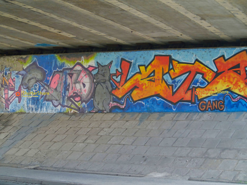 Graffiti-Covered Underpass with Rat Motif