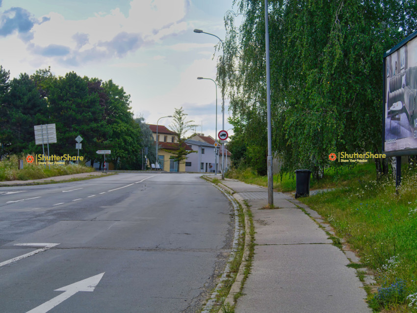 Quiet Suburban Street with Streetlights