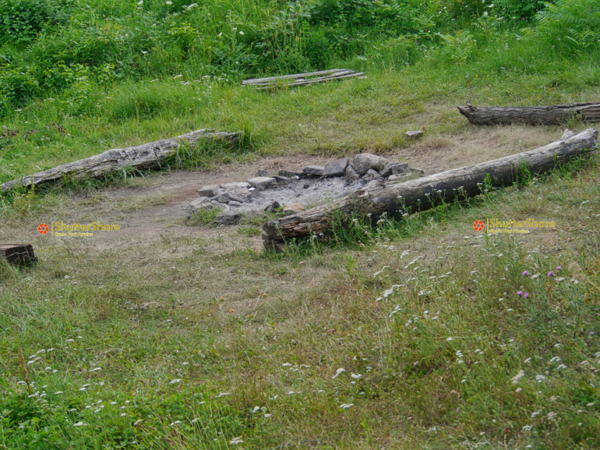 Rustic Campfire Area in a Meadow