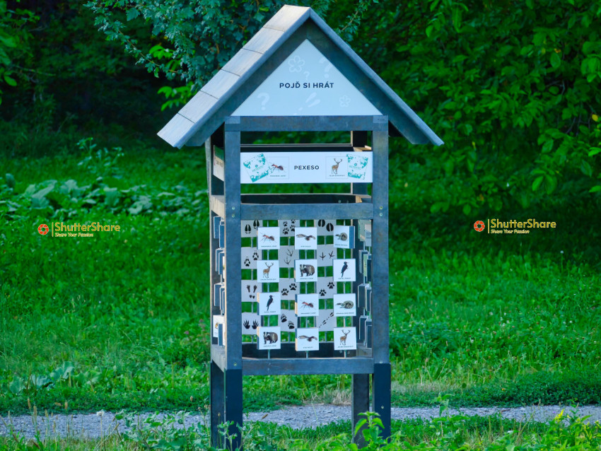 Interactive Nature Game