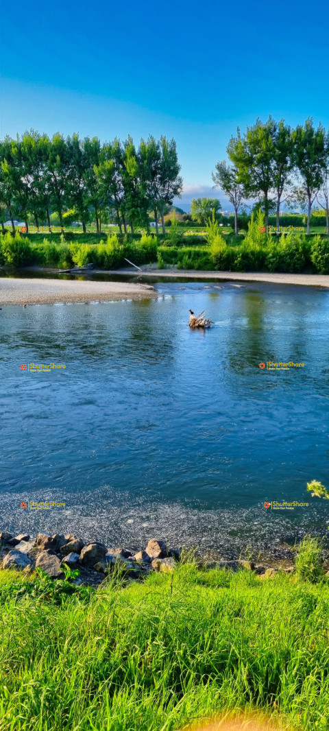 Serene Riverside Scenery